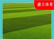 米兰体育app-圣彼得堡球场，成功生长草坪